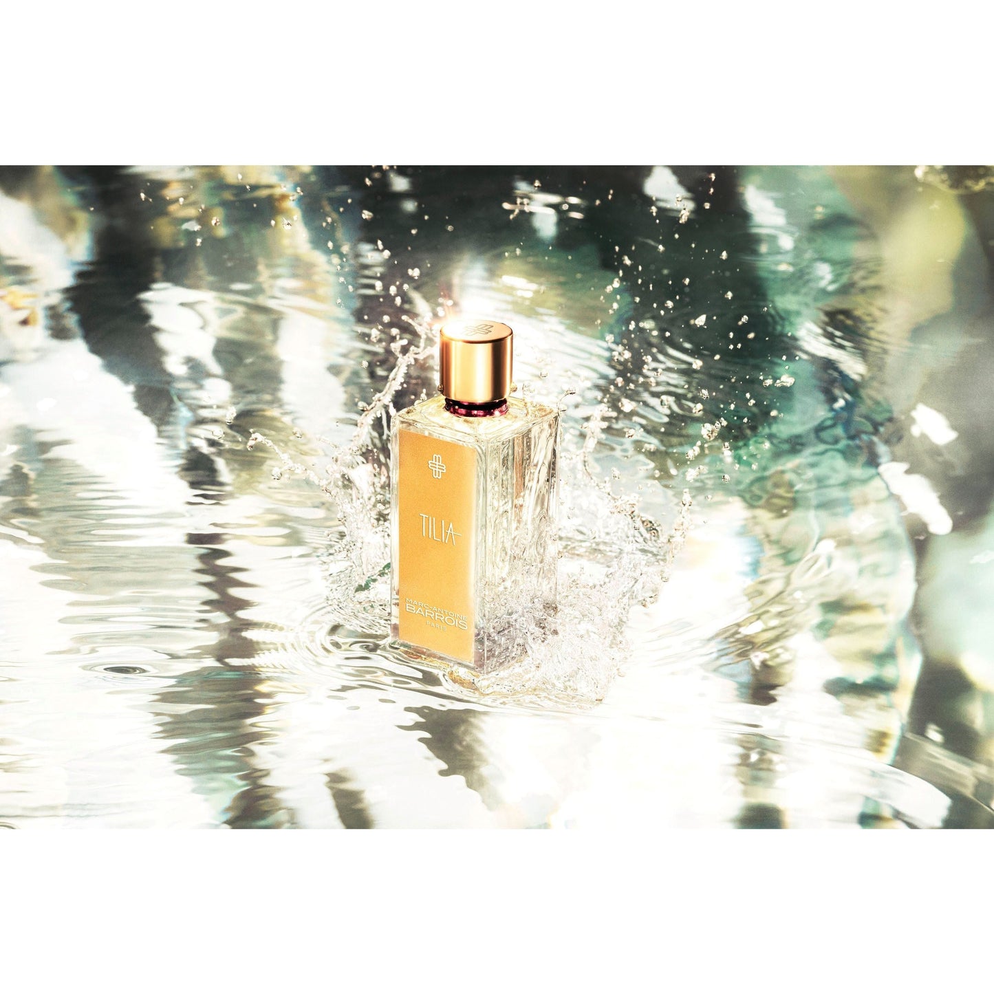 Tilia EdP