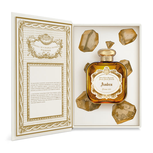 Ambra EDP