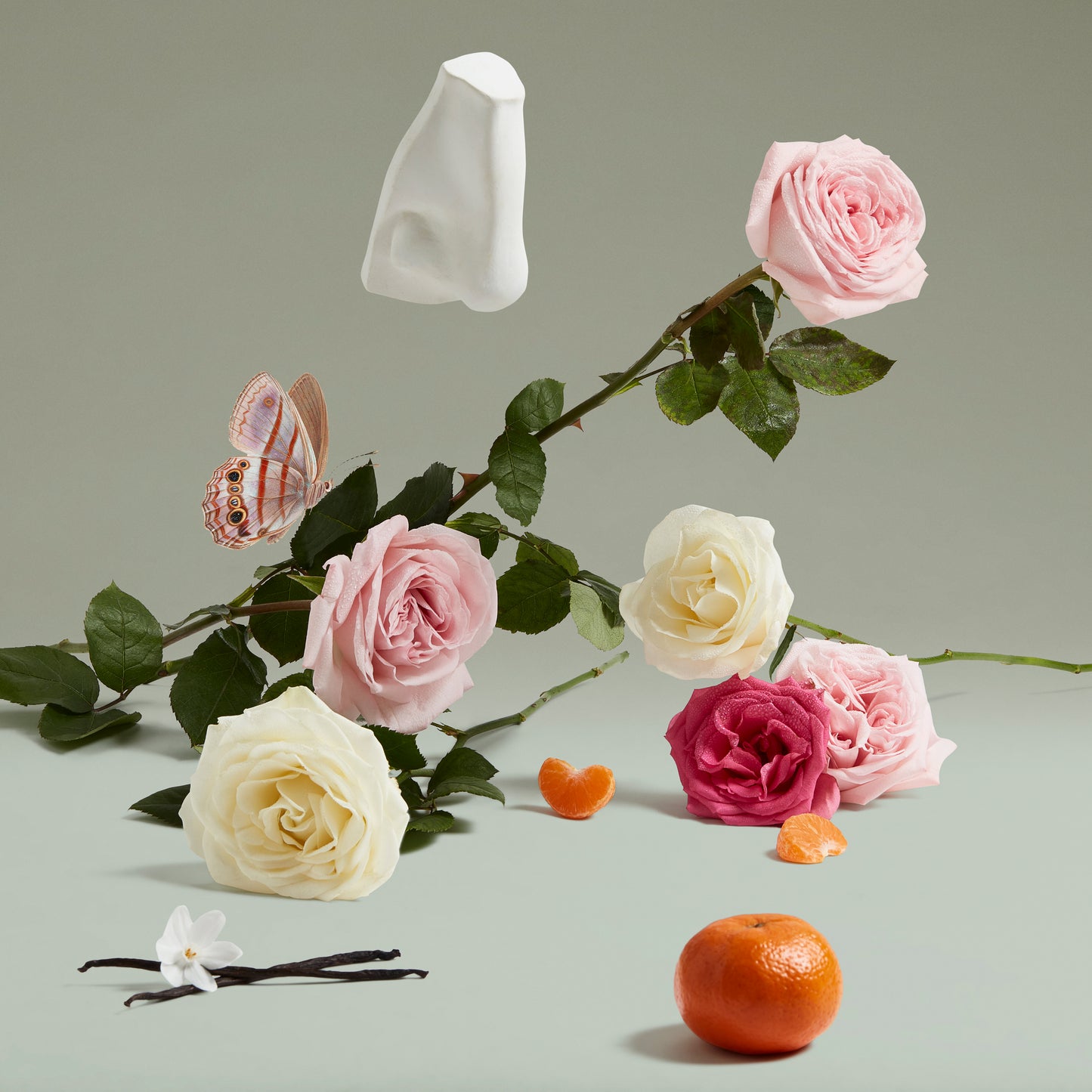 The Coveted Duchess Rose EdP, 75ml
