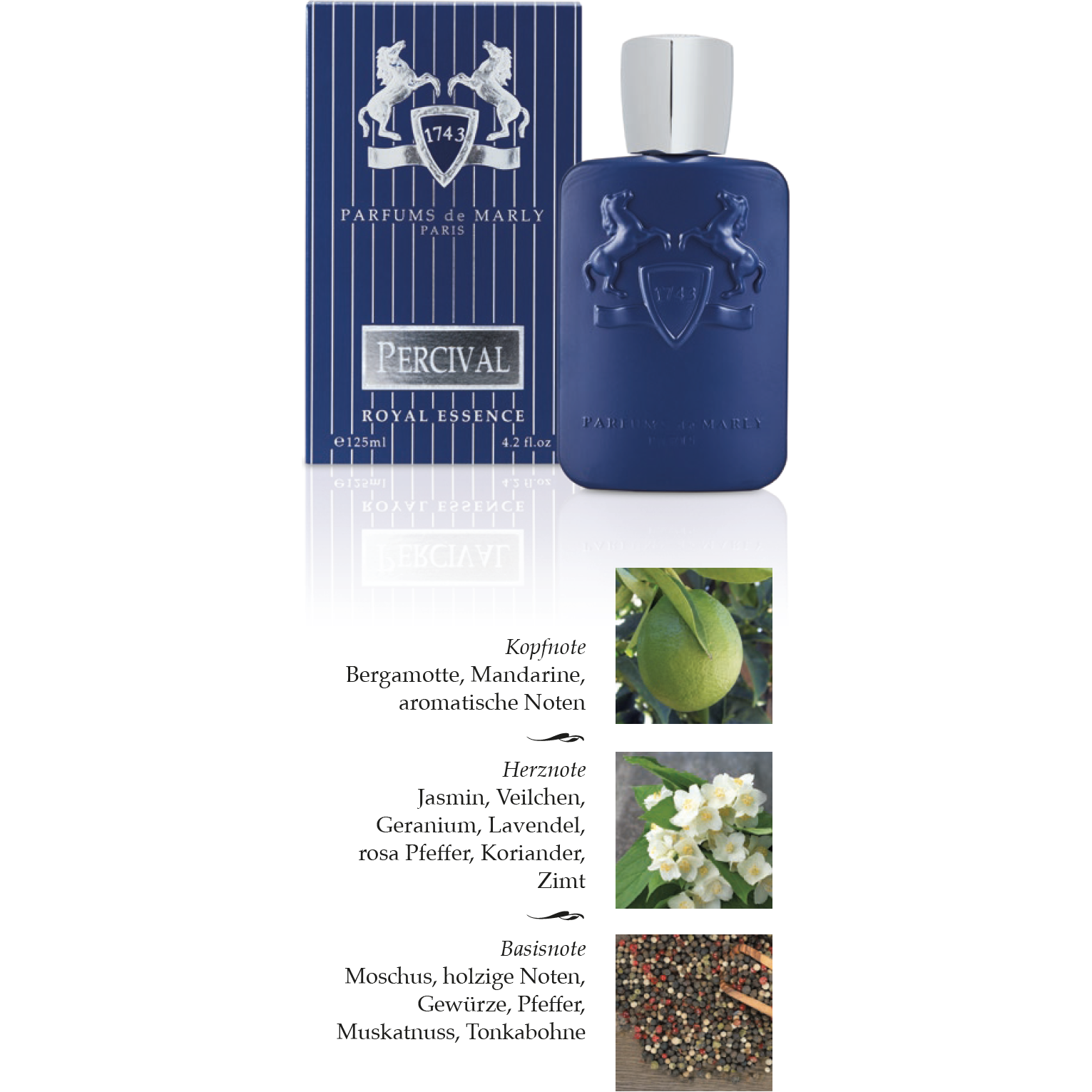 Percival EdP, 125ml - PARFUMS LUBNER