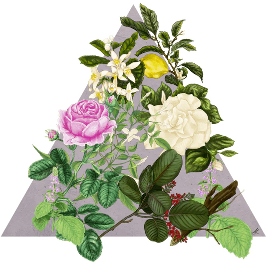 Rosa Novella Eau de Cologne, 100ml