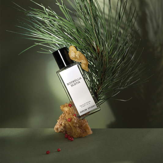 Boswellia Scotia Extrait de Parfum