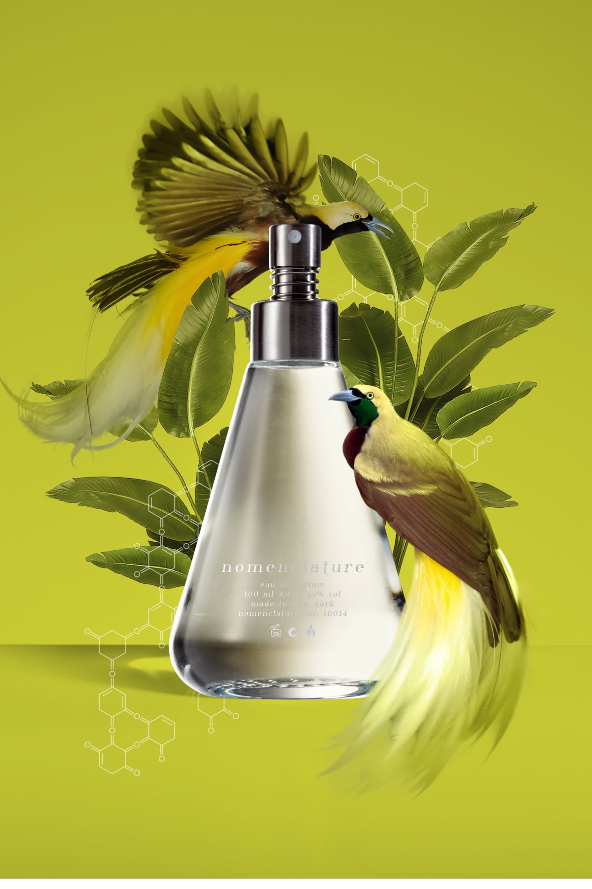 Nomenclature Fragrances