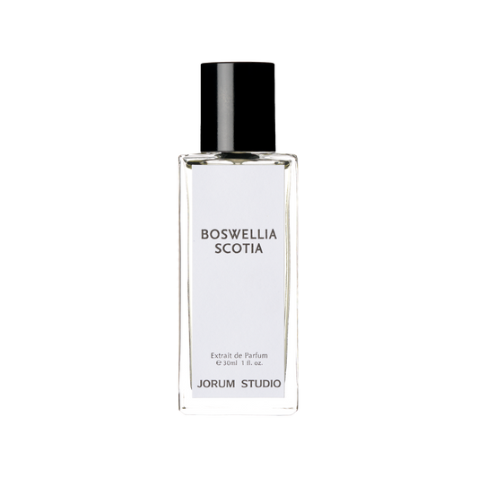 Boswellia Scotia Extrait de Parfum