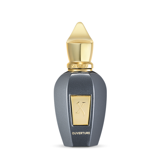 Ouverture EdP