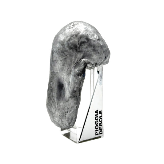 PIOGGIA debole Extrait, 50ml