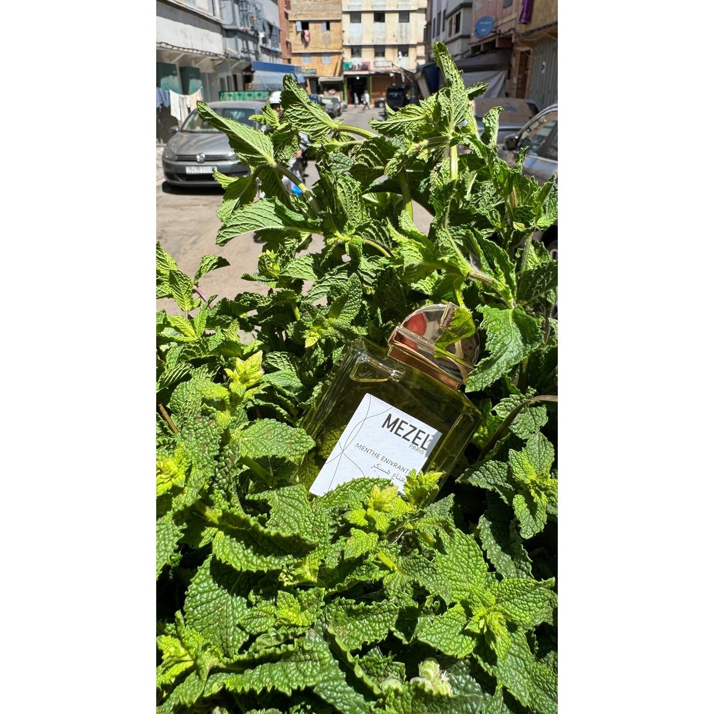 Menthe Enivrante EdP, 100ml