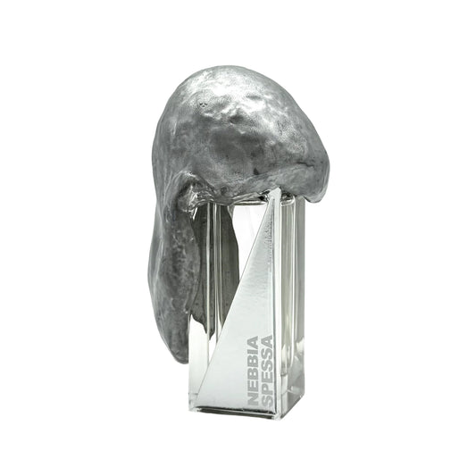 NEBBIA spessa Extrait, 50ml