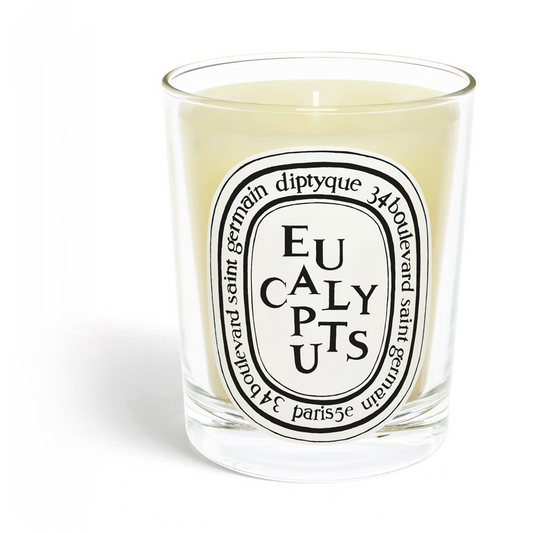 Eucalyptus Duftkerze, 190g - PARFUMS LUBNER