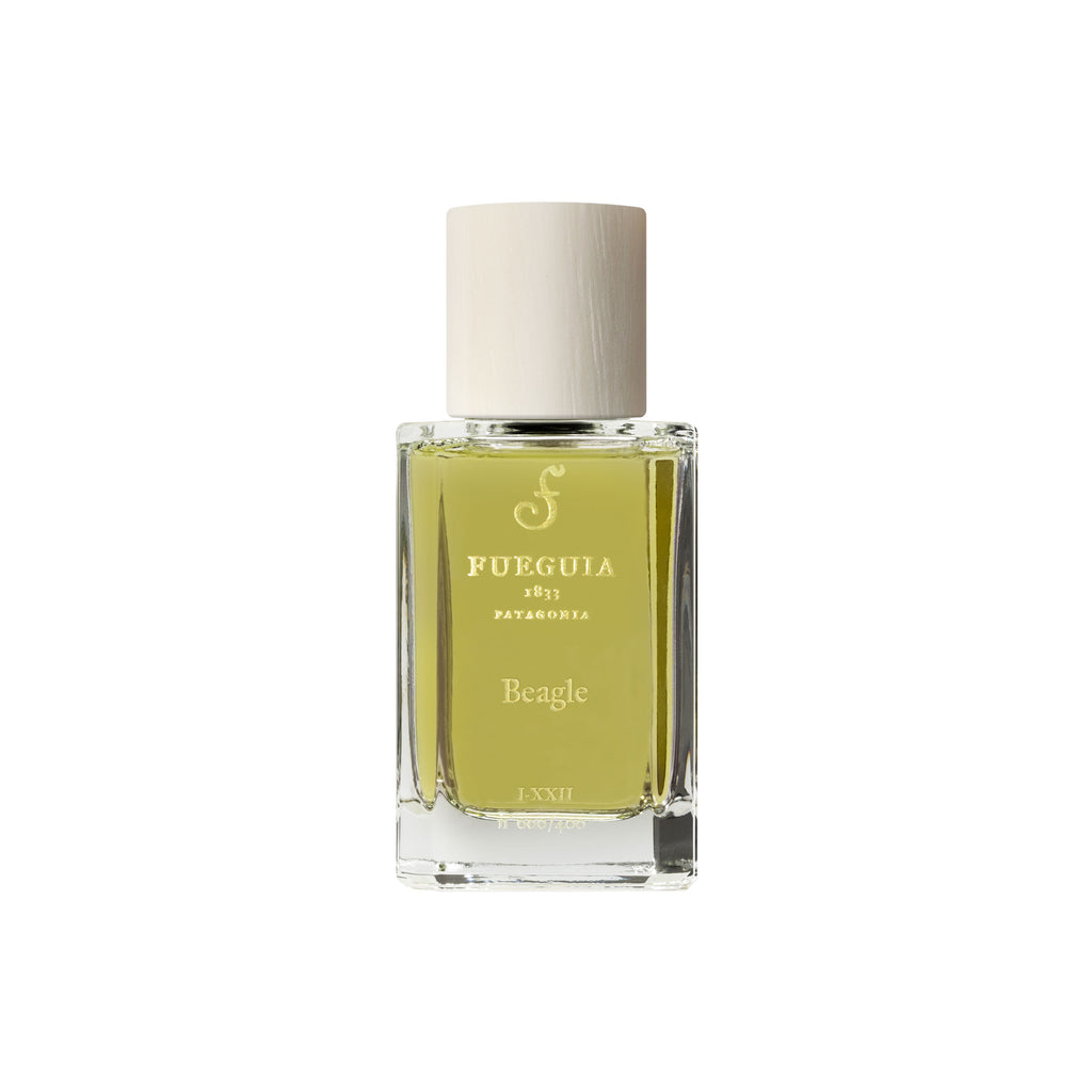 Beagle EdP, 50ml