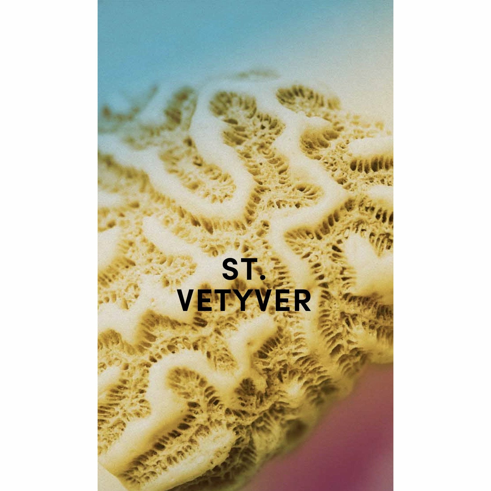 St. Vetyver EdP, 50 ml - PARFUMS LUBNER