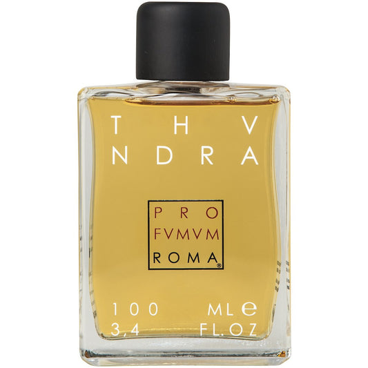Thundra EdP, 100ml - PARFUMS LUBNER